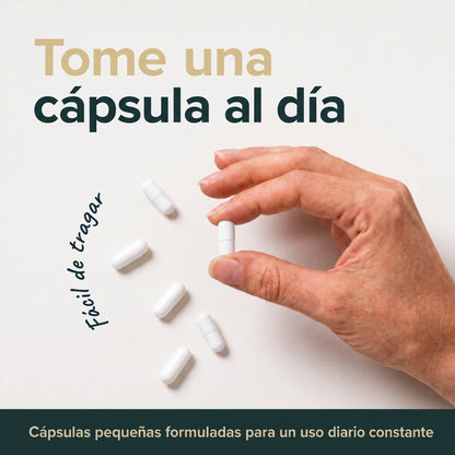 Ácido R-alfa lipoico — Cápsulas de 600 mg en forma R pura